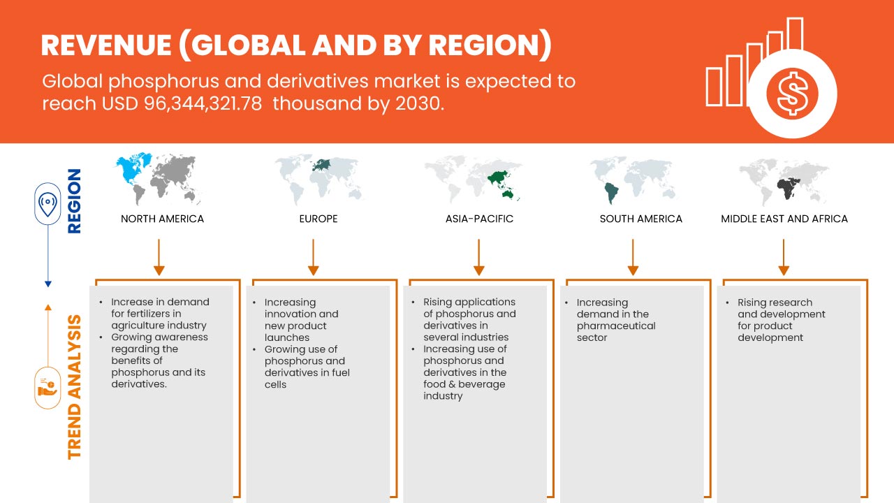 Phosphorus and Derivatives Market