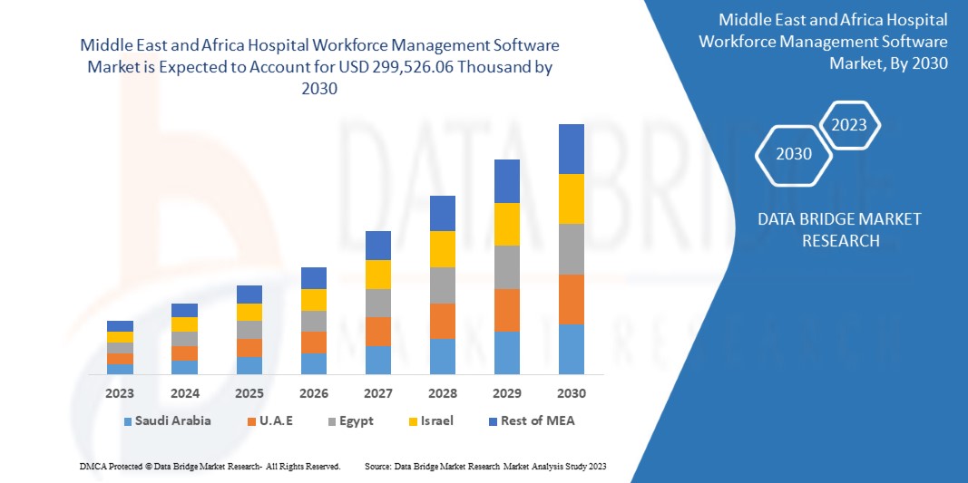 Middle East and Africa Hospital Workforce Management Software Market