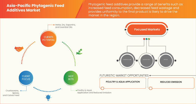 Marché des additifs alimentaires phytogéniques en Asie-Pacifique
