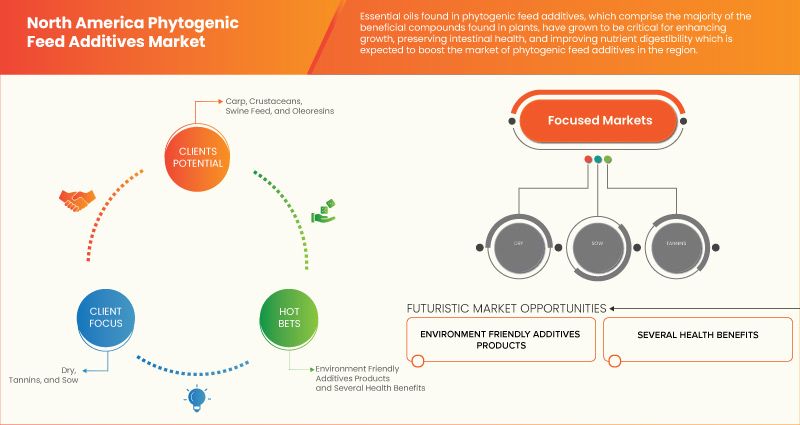 North America Phytogenic Feed Additives Market