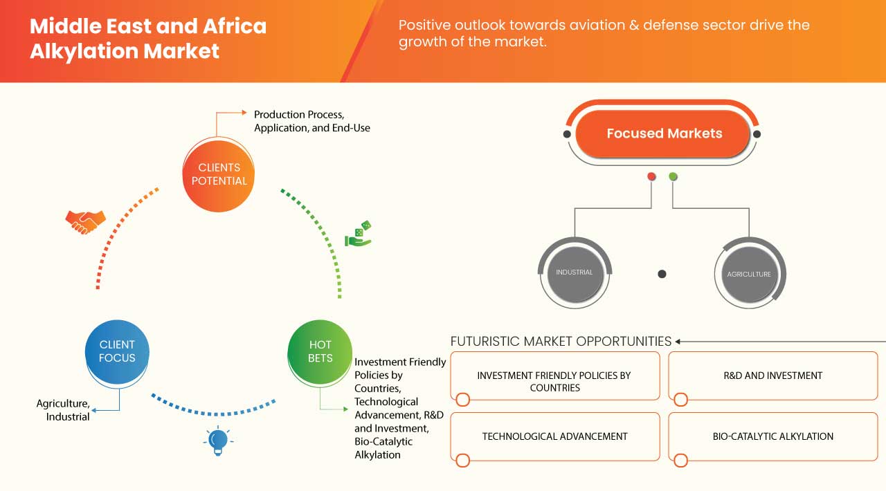 Middle East and Africa Alkylation Market
