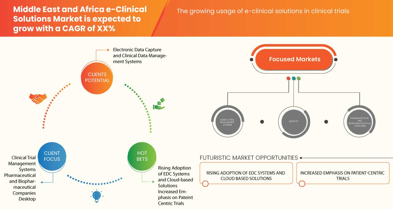 Middle East and Africa e-Clinical Solutions Market