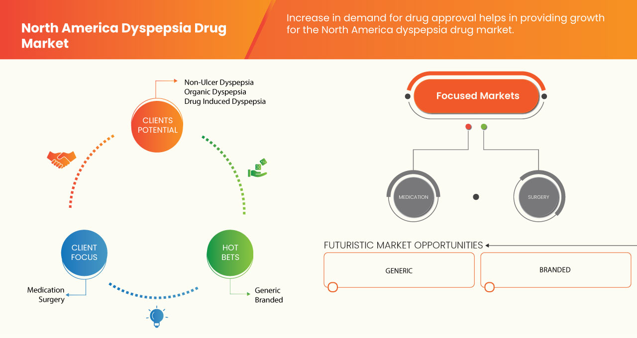 North America Dyspepsia Drug Market