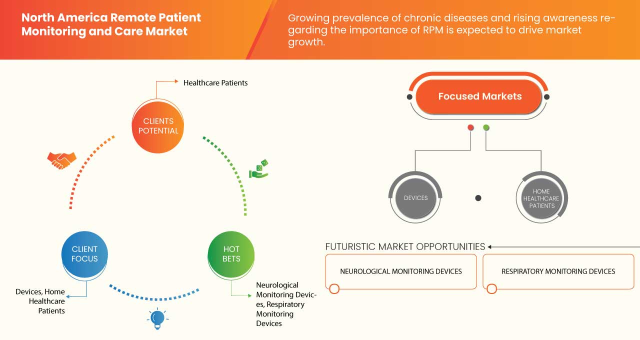 North America Remote Patient Monitoring and Care Market