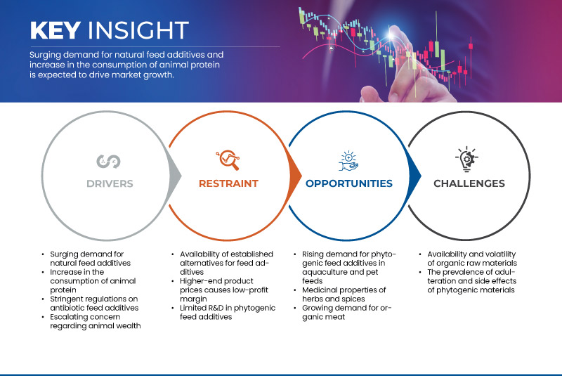 植物由来飼料添加物市場