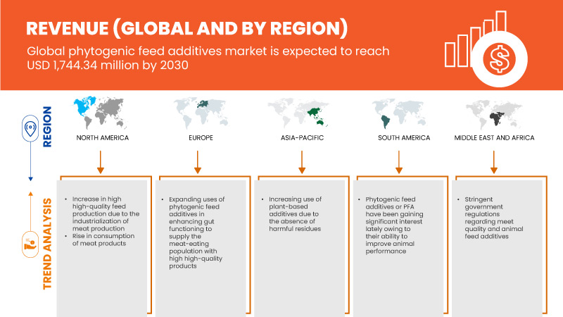 Phytogenic Feed Additives Market