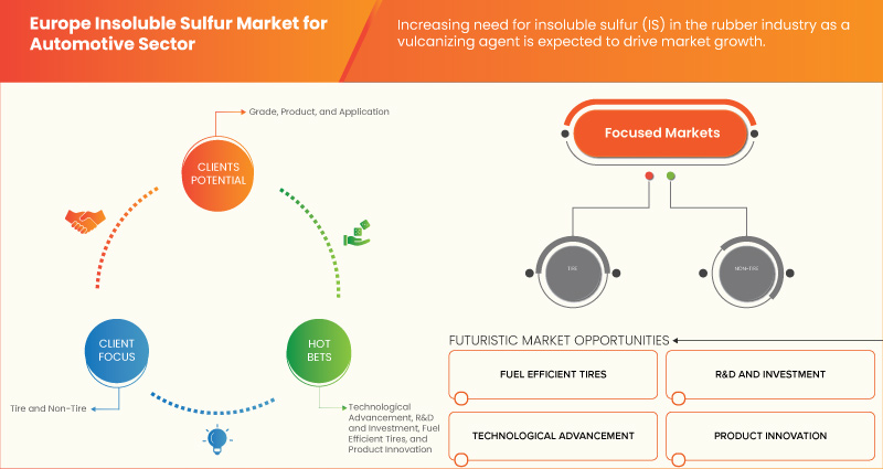 Europe Insoluble Sulfur Market for Automotive Sector Market