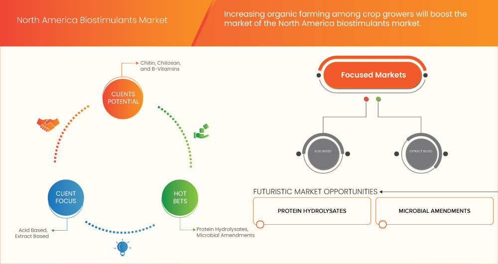 North America Biostimulants Market