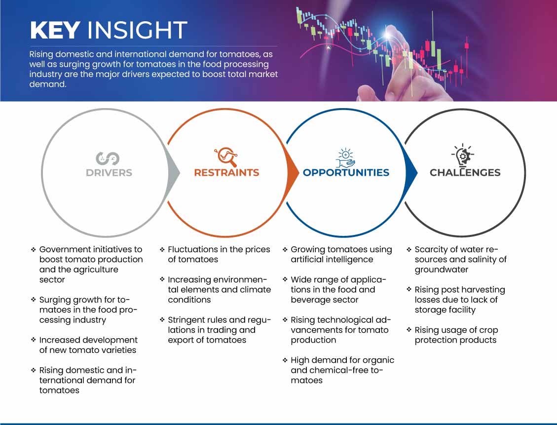 ヨーロッパのトマト市場