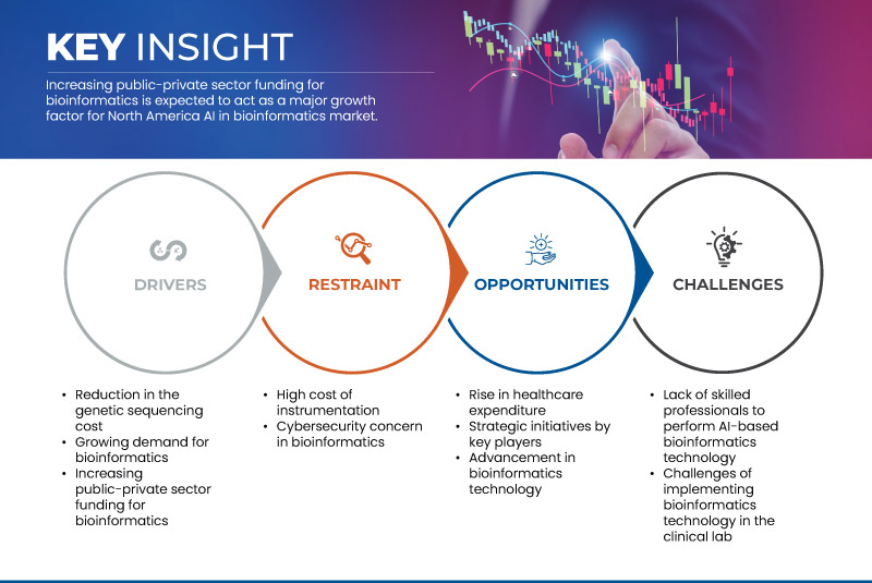 Североамериканский ИИ на рынке биоинформатики