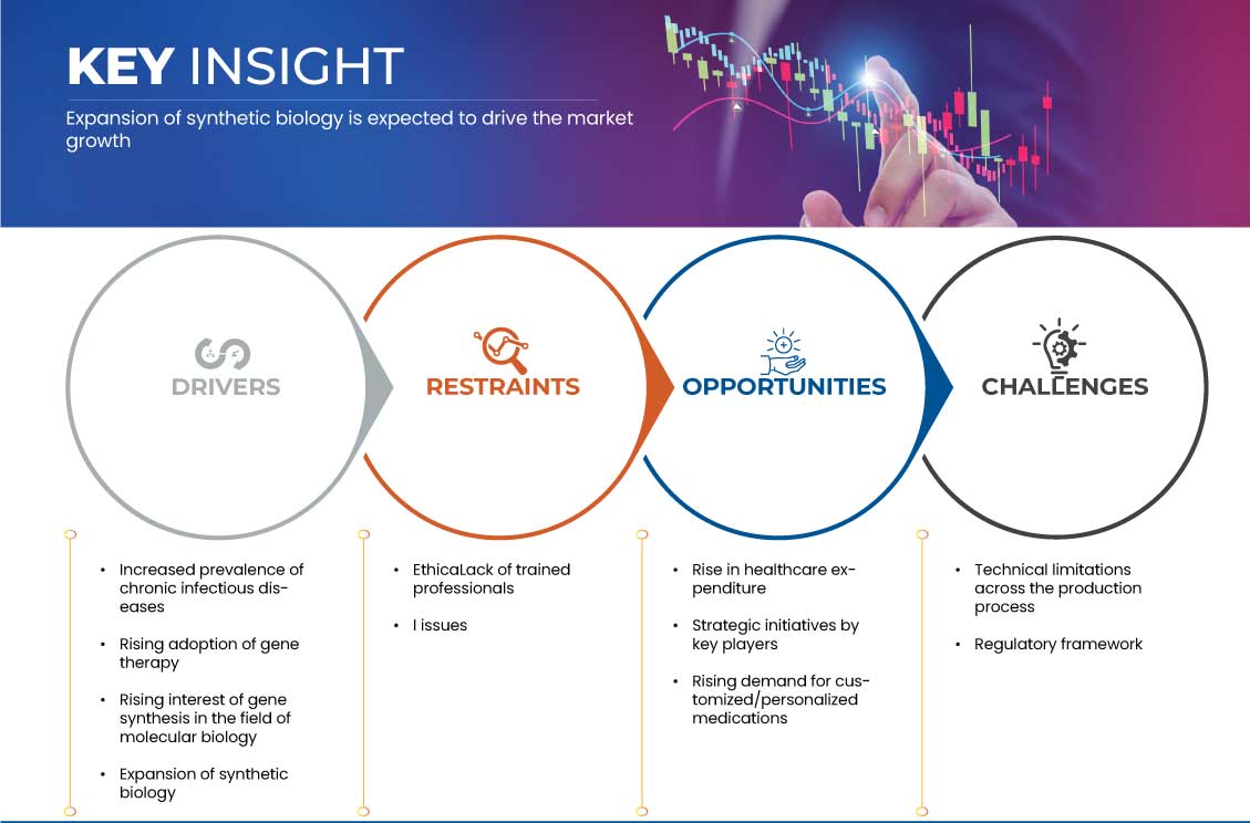 India Gene Synthesis Market