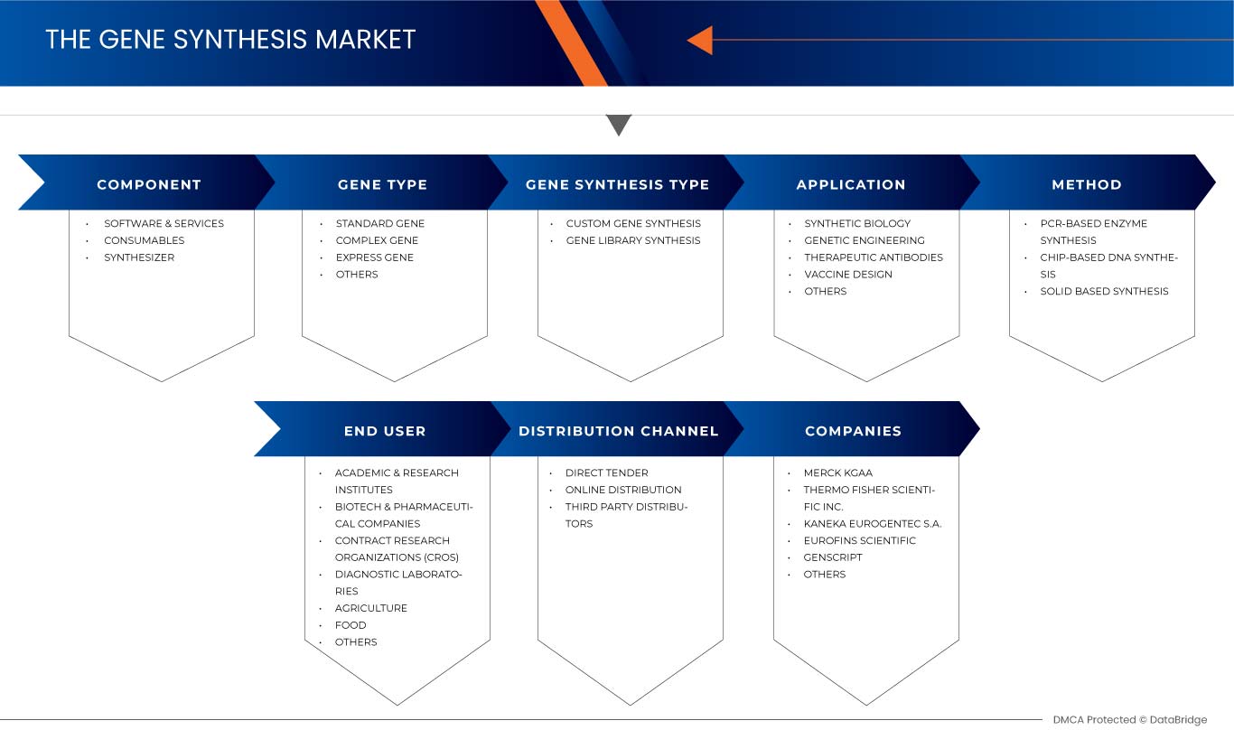 India Gene Synthesis Market