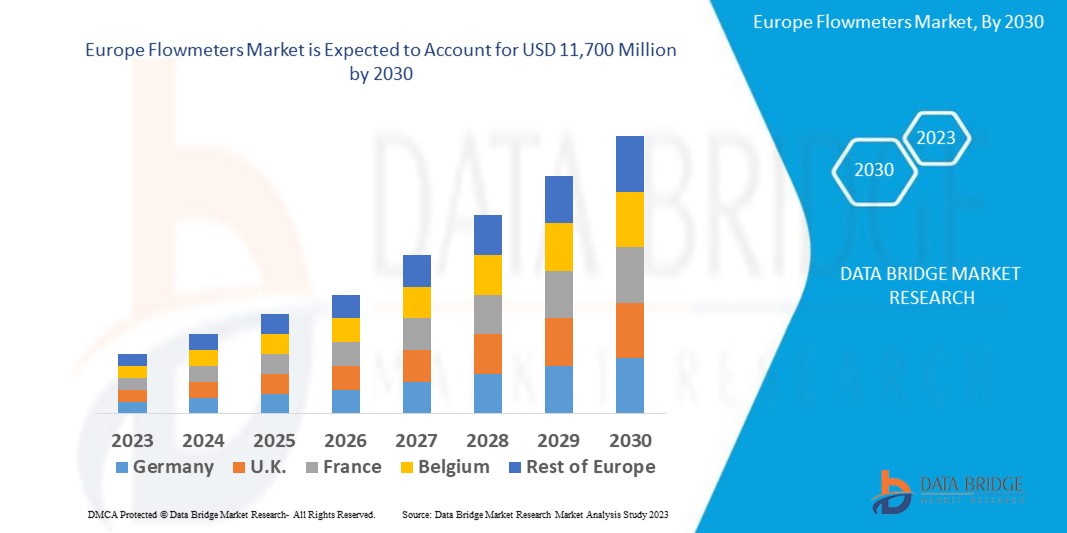Europe Flowmeters Market