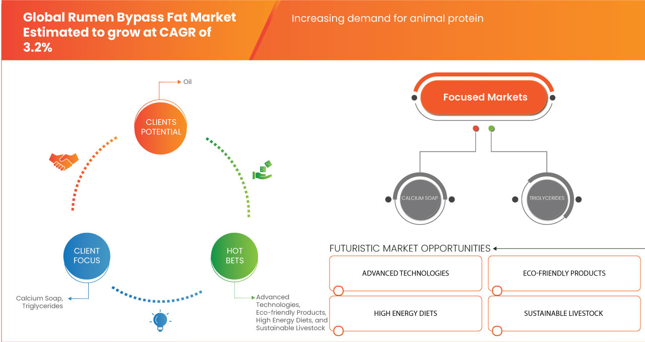 Rumen Bypass Fat Market