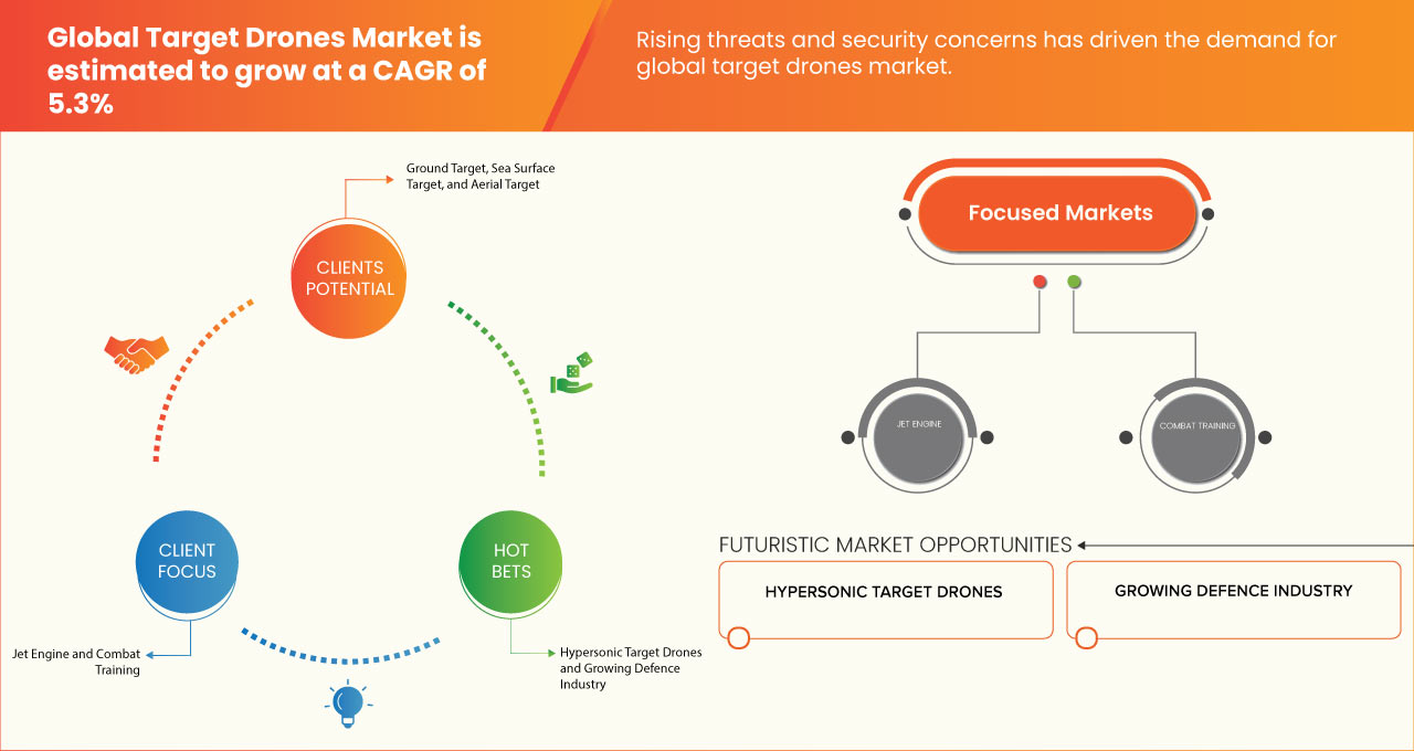 ターゲットドローン市場