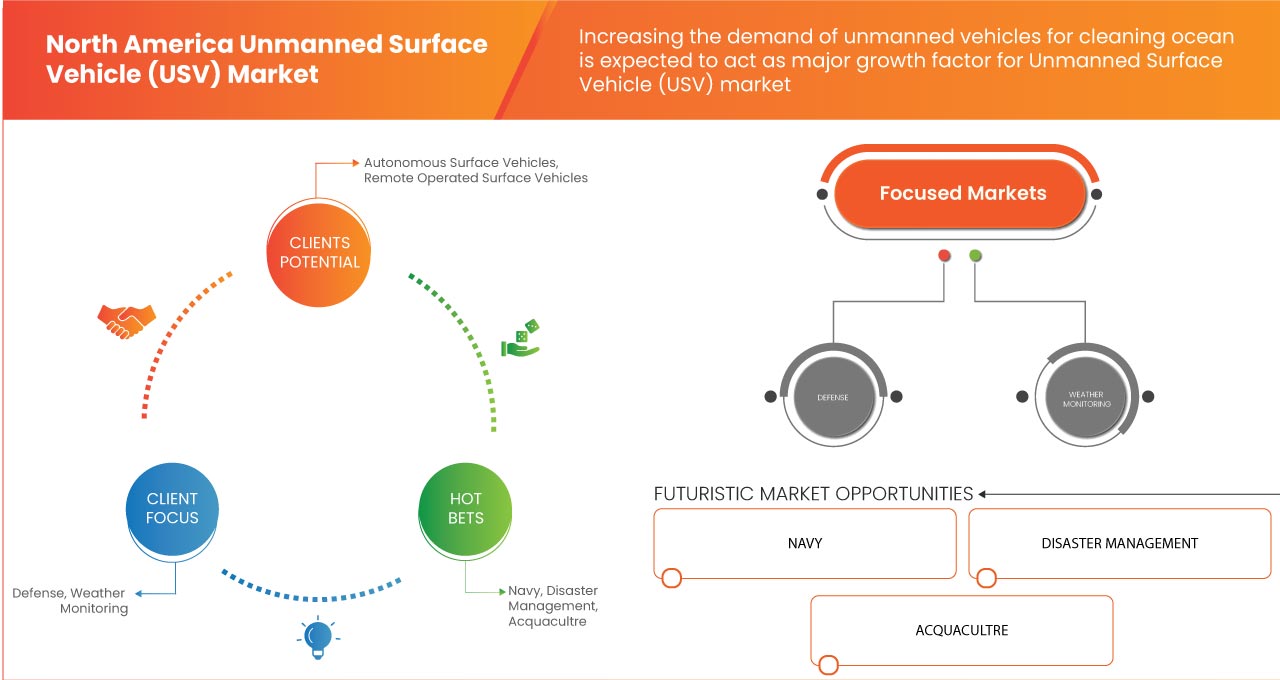 North America Unmanned Surface Vehicle (USV) Market