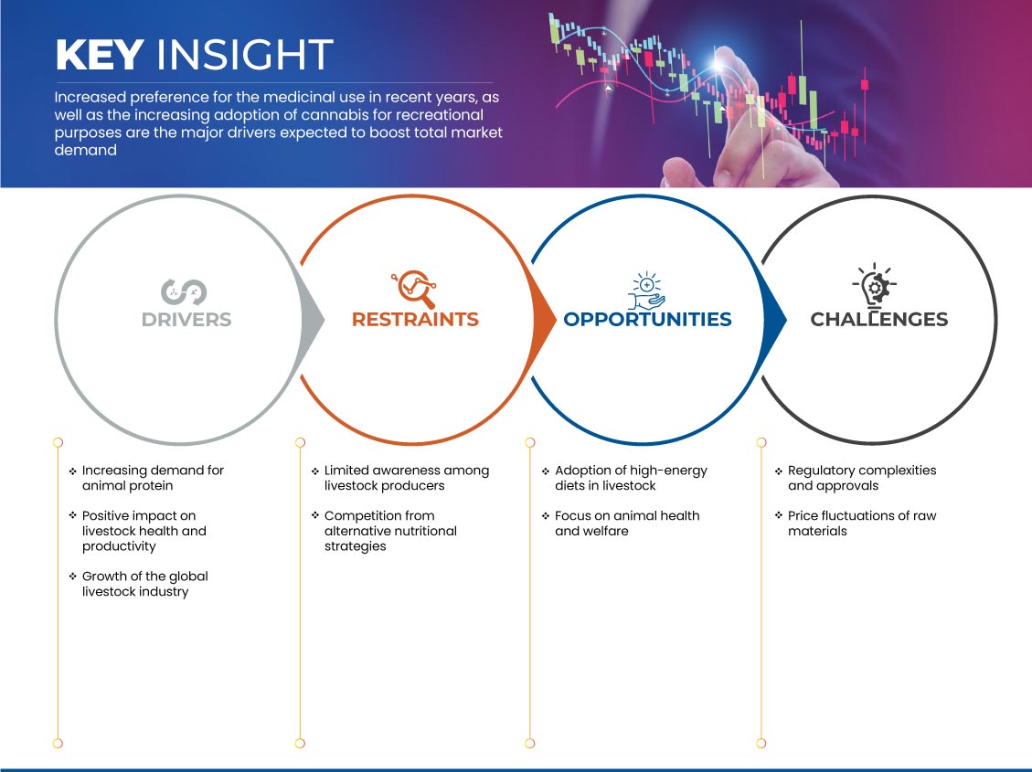 瘤胃绕道脂肪市场