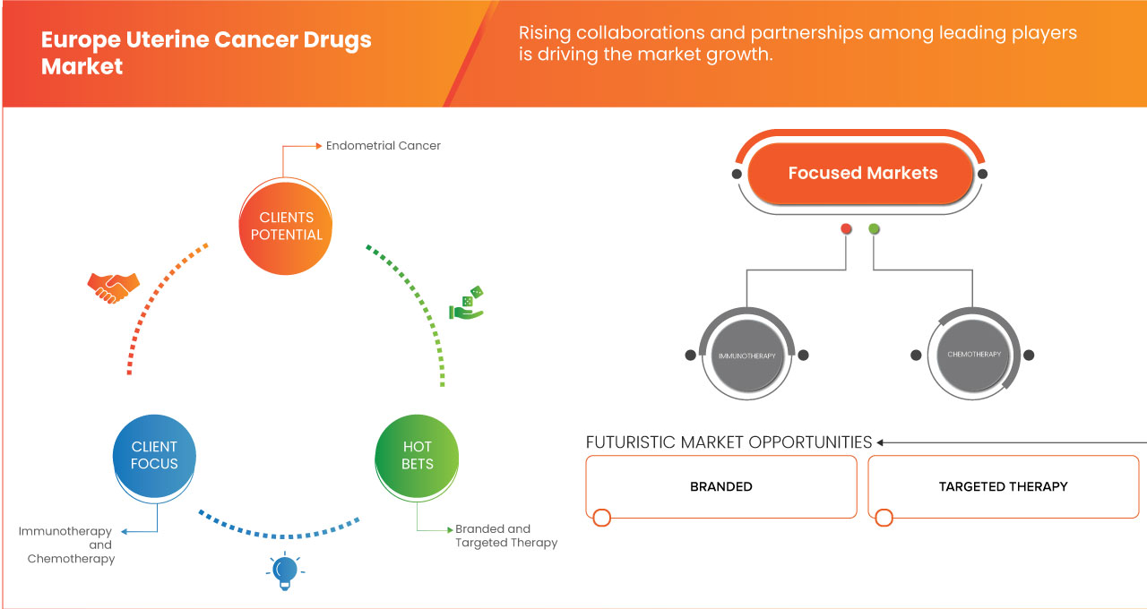 欧洲子宫癌药物市场