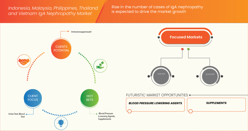 Indonesia, Malaysia, Philippines, Thailand and Vietnam Iga Nephropathy Market