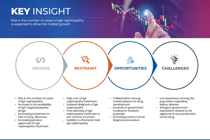 Indonesia, Malaysia, Philippines, Thailand and Vietnam Iga Nephropathy Market