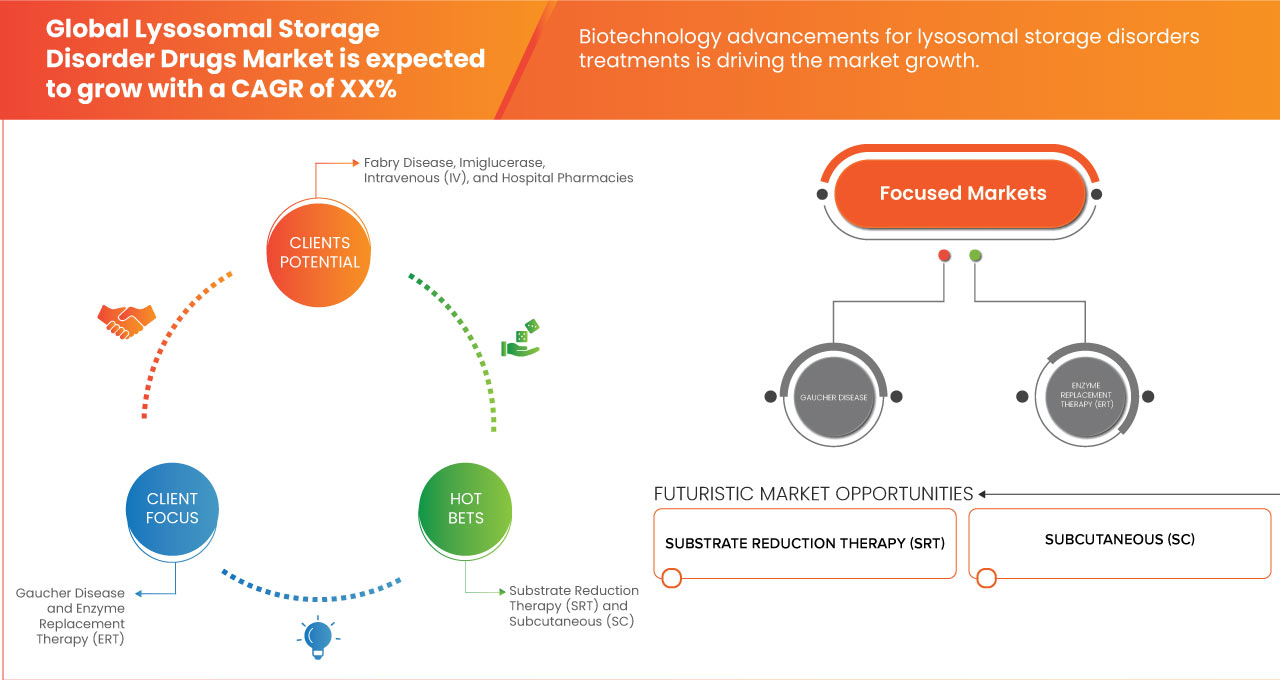 Lysosomal Storage Disorder Drugs Market