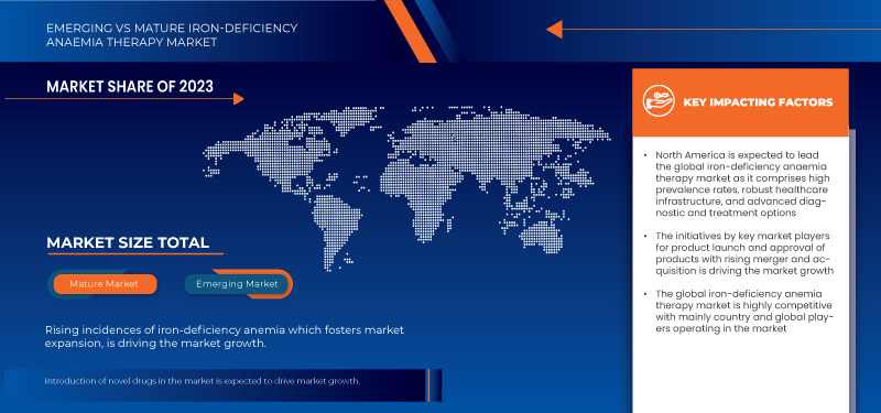 철분 결핍성 빈혈 치료 시장
