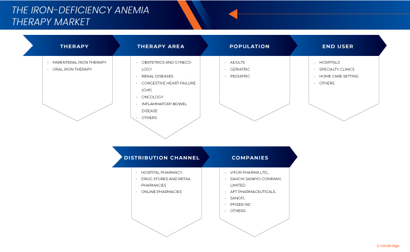 철분 결핍성 빈혈 치료 시장