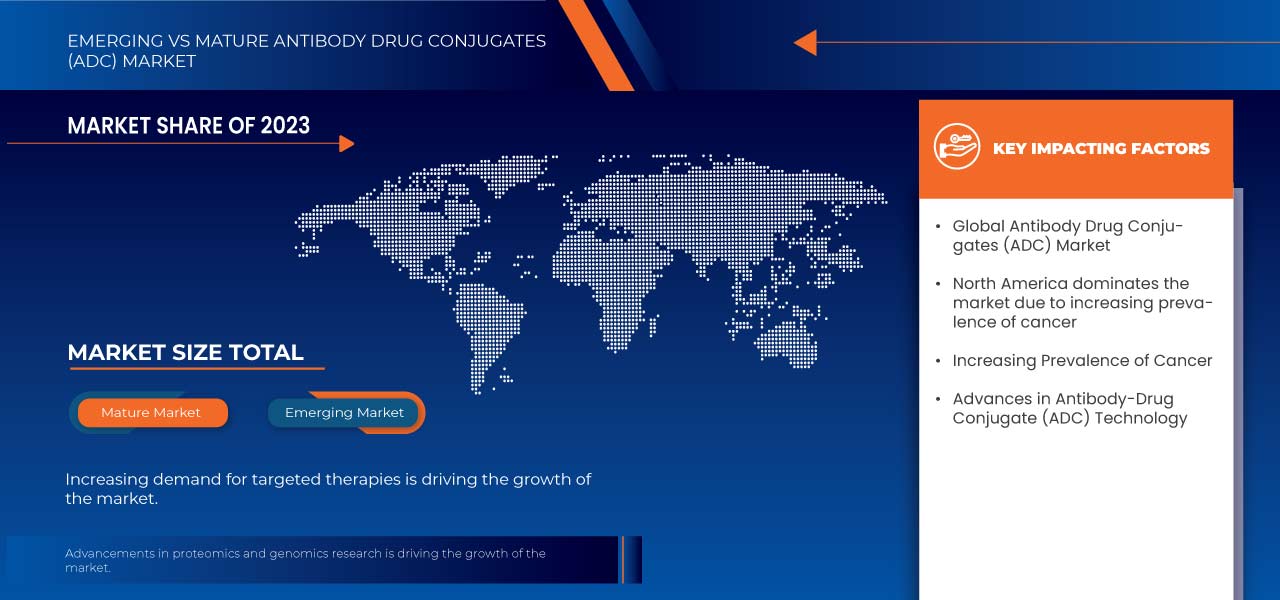 Marché des conjugués anticorps-médicaments (ADC)