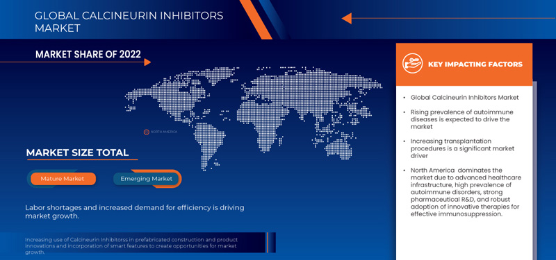 Marché des inhibiteurs de la calcineurine