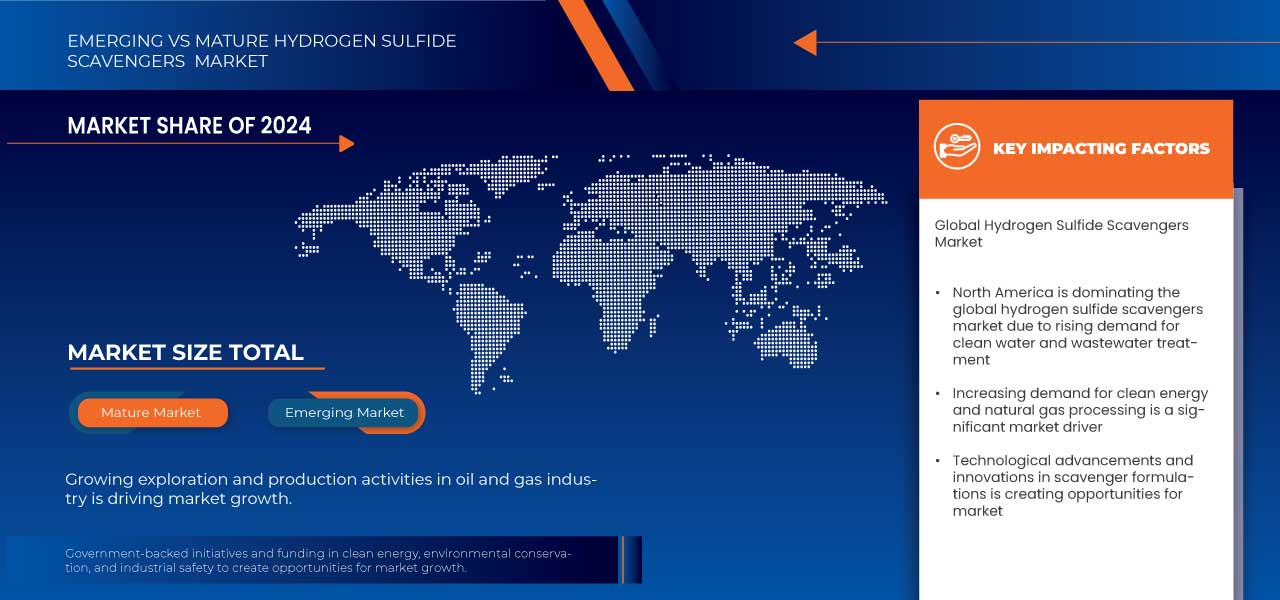 Hydrogen Sulfide (H2S) Scavengers Market