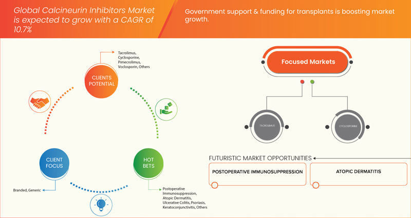 Calcineurin Inhibitors Market