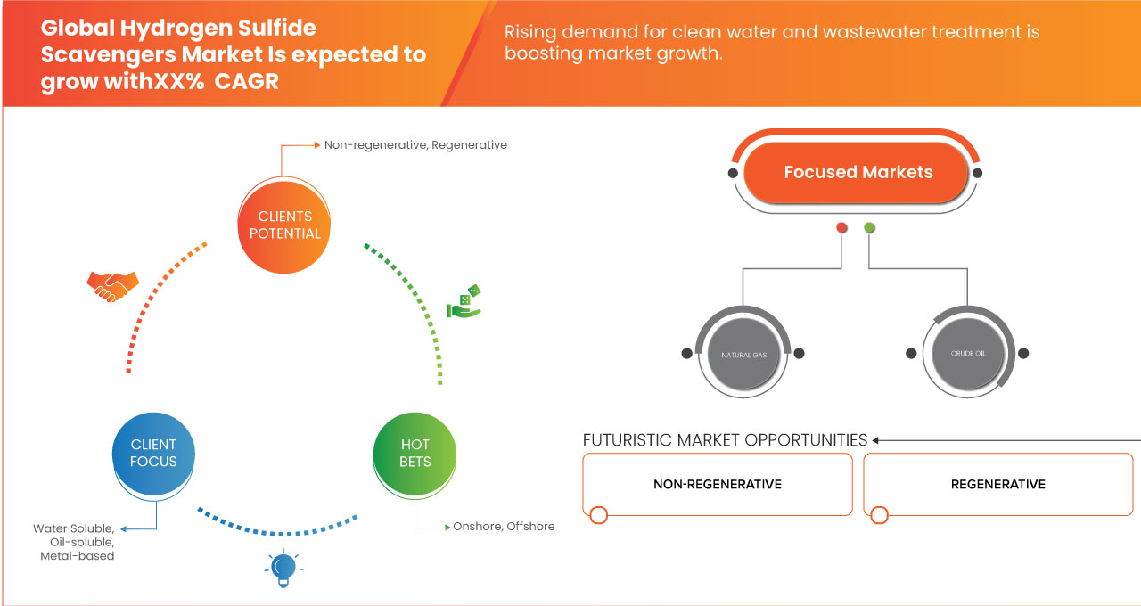 Hydrogen Sulfide (H2S) Scavengers Market