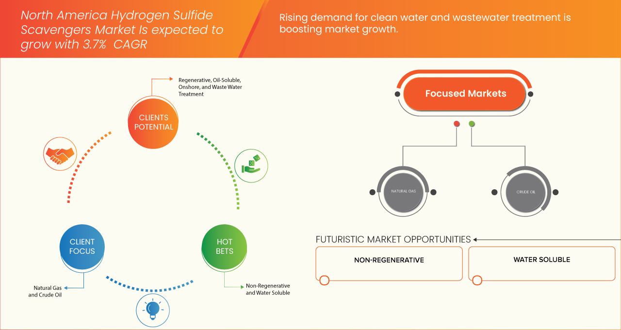 North America Hydrogen Sulfide Scavengers Market
