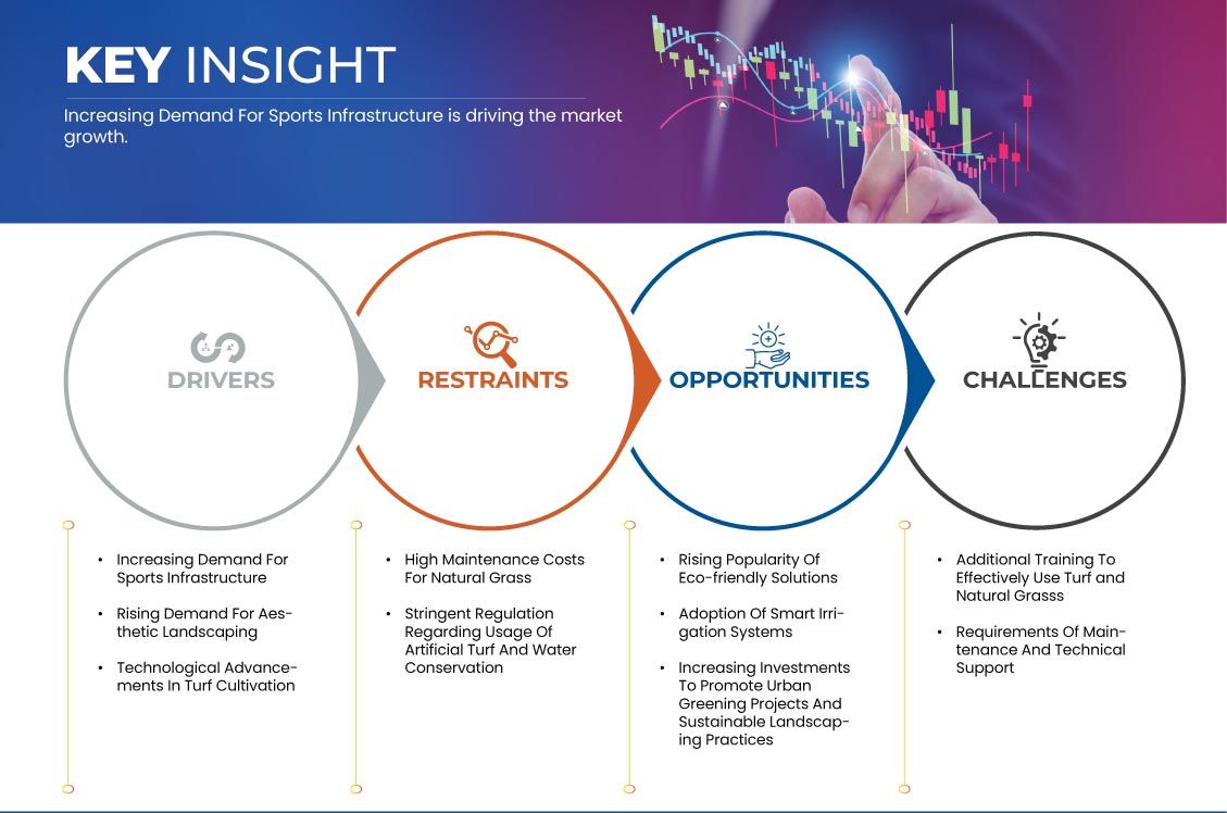 Europe Turf and Natural Grass Market