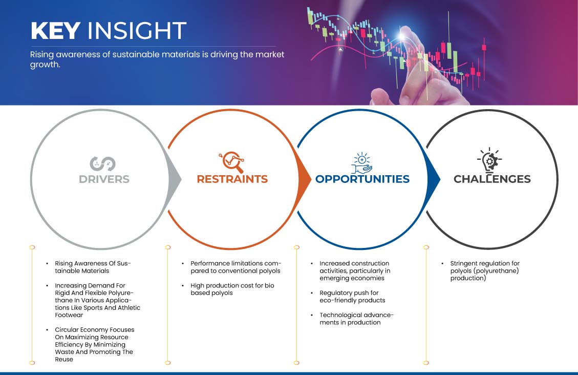 Рынок зеленых и биополиолов