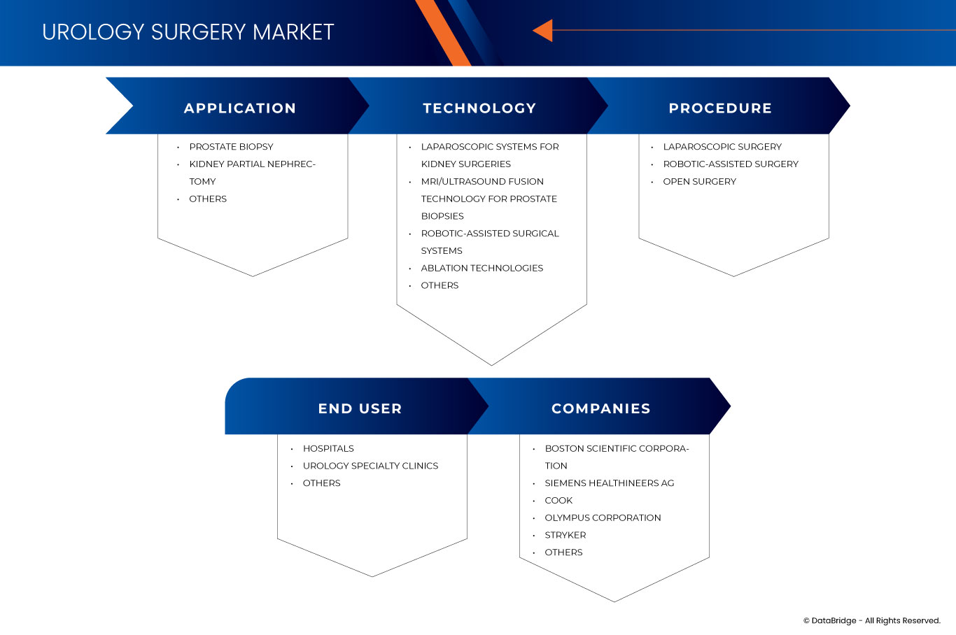 Urology Surgery Market
