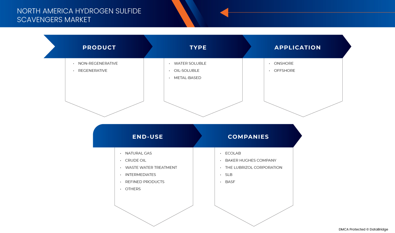 North America Hydrogen Sulfide Scavengers Market