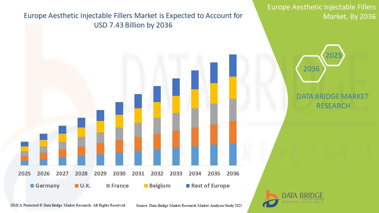 Europe Aesthetic Injectable Fillers Market