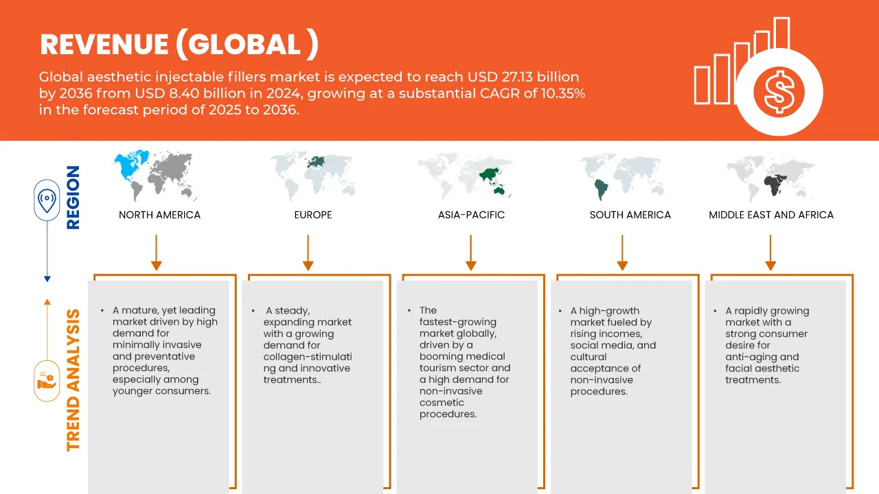 Aesthetic Injectable Fillers Market
