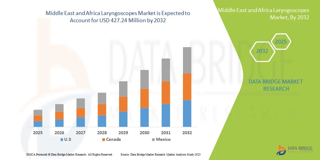 Middle East and Africa Laryngoscopes Market z
