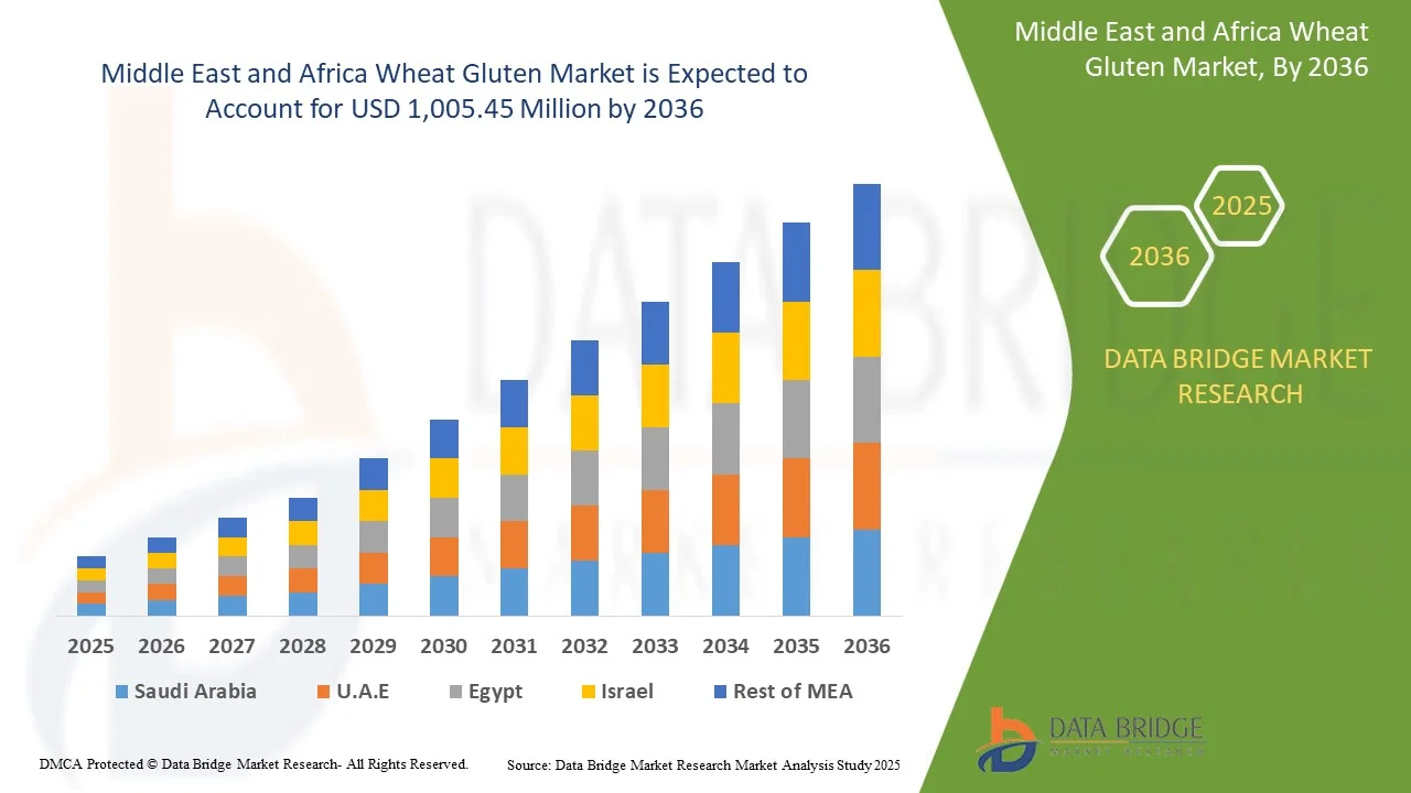 Middle East and North Africa Aesthetic Injectable Fillers Market