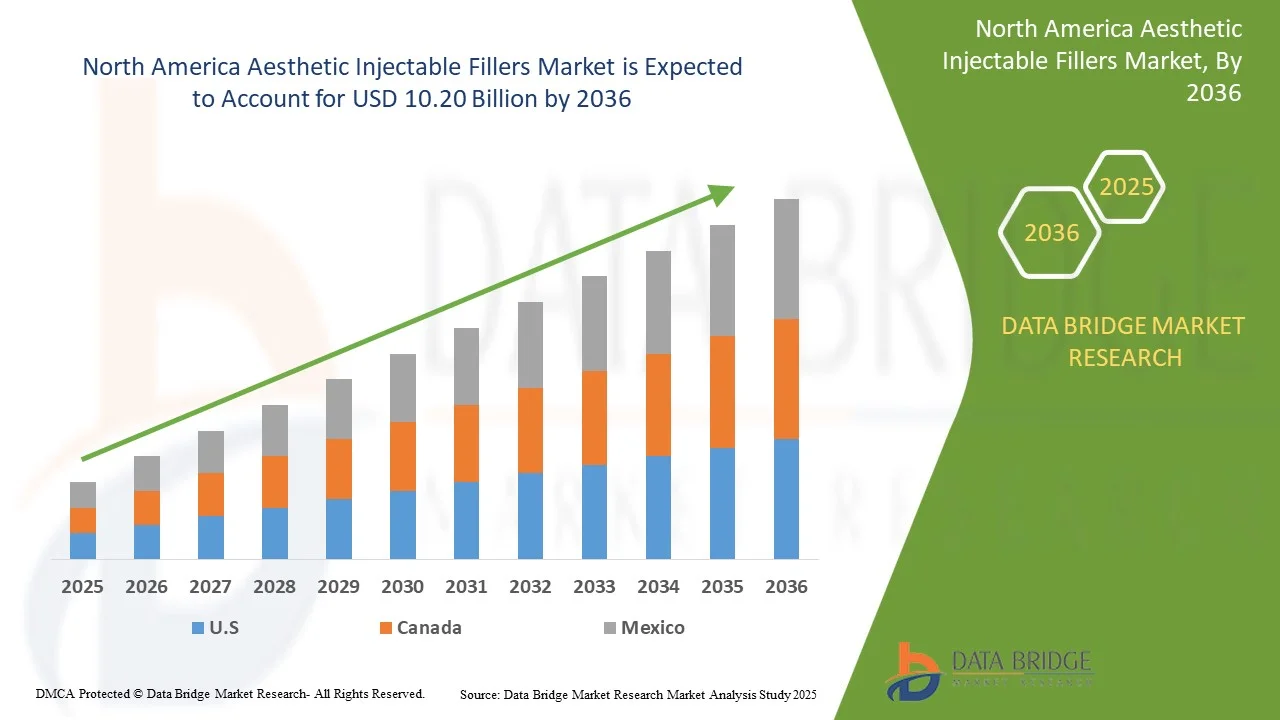 North America Aesthetic Injectable Fillers Market