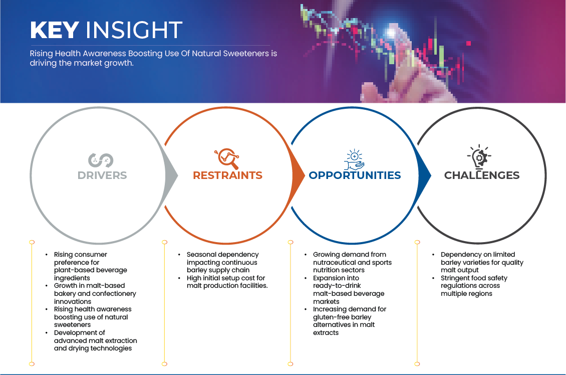 보리 맥아 추출물 및 크바스 맥즙 농축액 시장