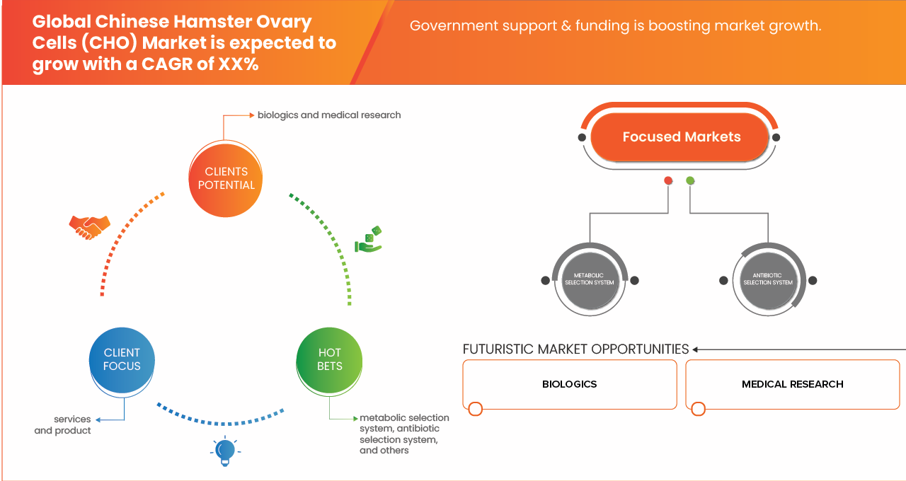 سوق خلايا مبيض الهامستر الصيني (CHO)