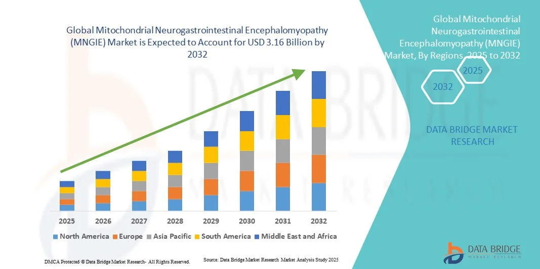 Mitochondrial Neurogastrointestinal Encephalomyopathy (MNGIE) Market z