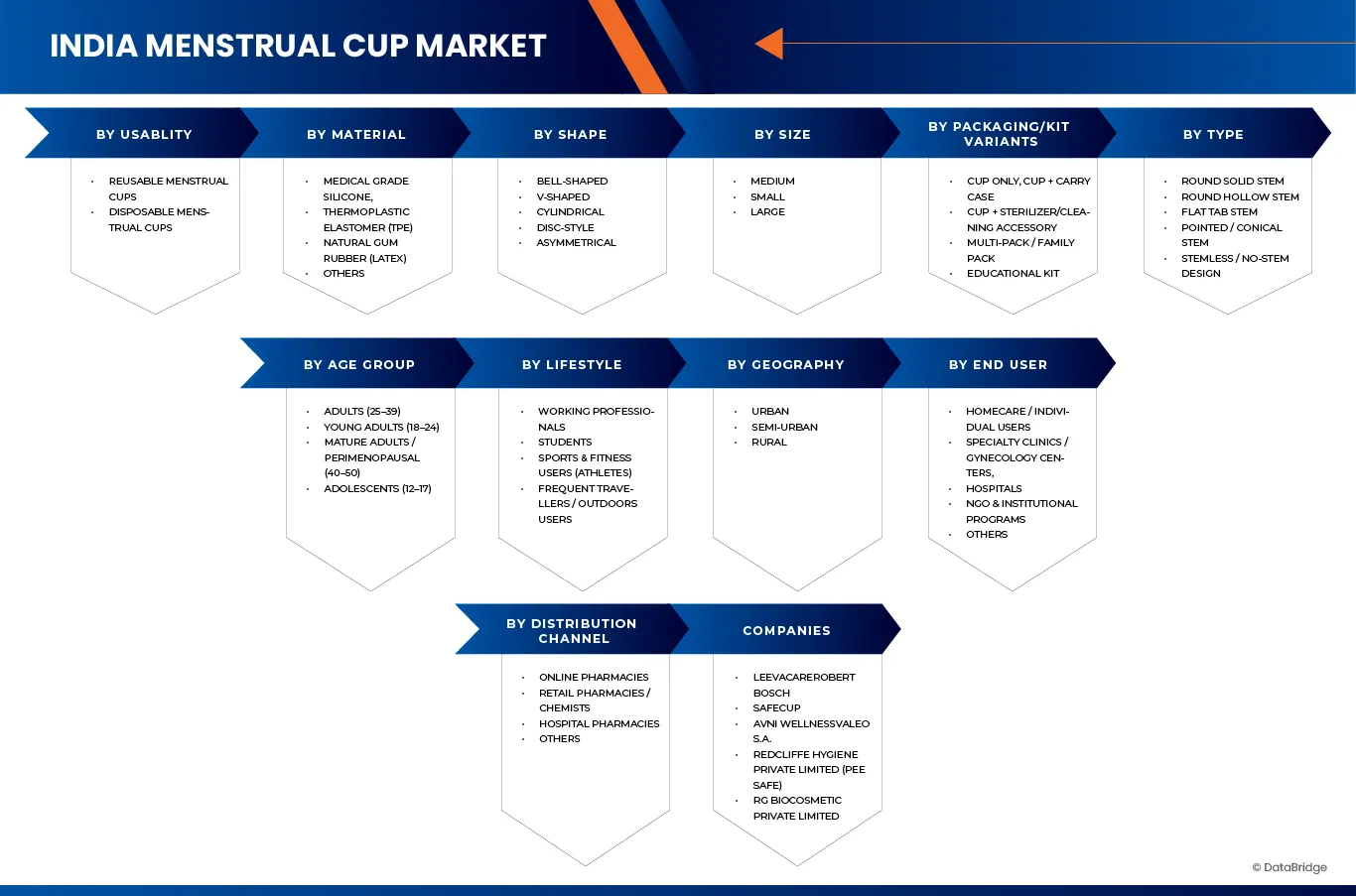 India Menstrual Cup Market