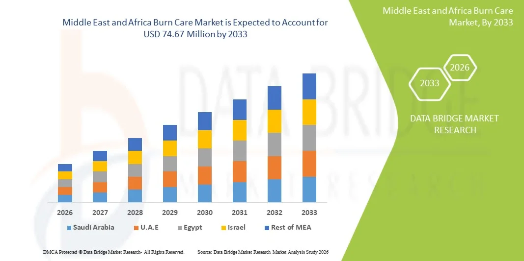 Middle East and Africa Burn Care Market