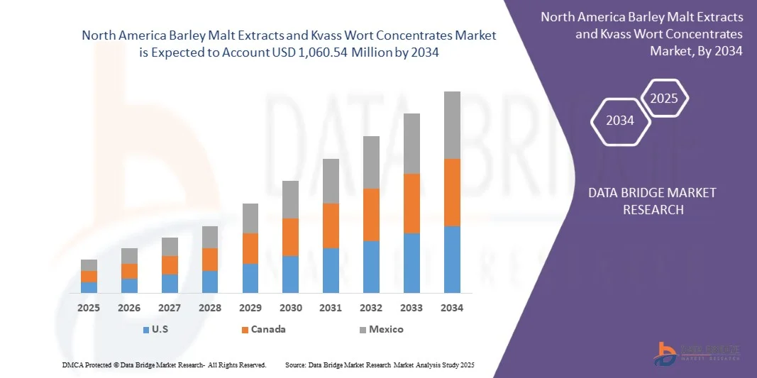 North America Barley Malt Extracts and Kvass Wort Concentrates Market