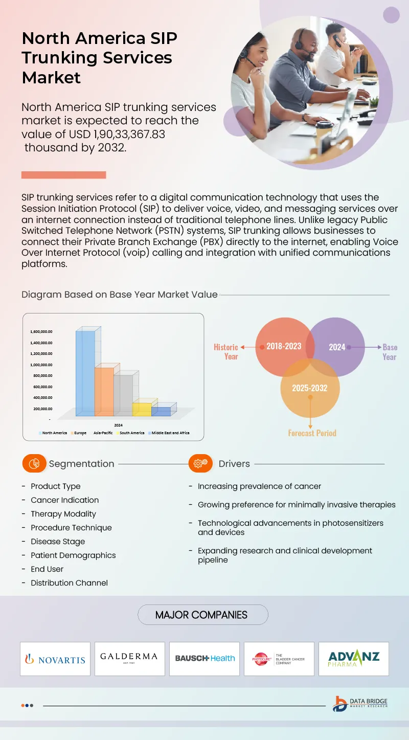 North America SIP Trunking Services Market