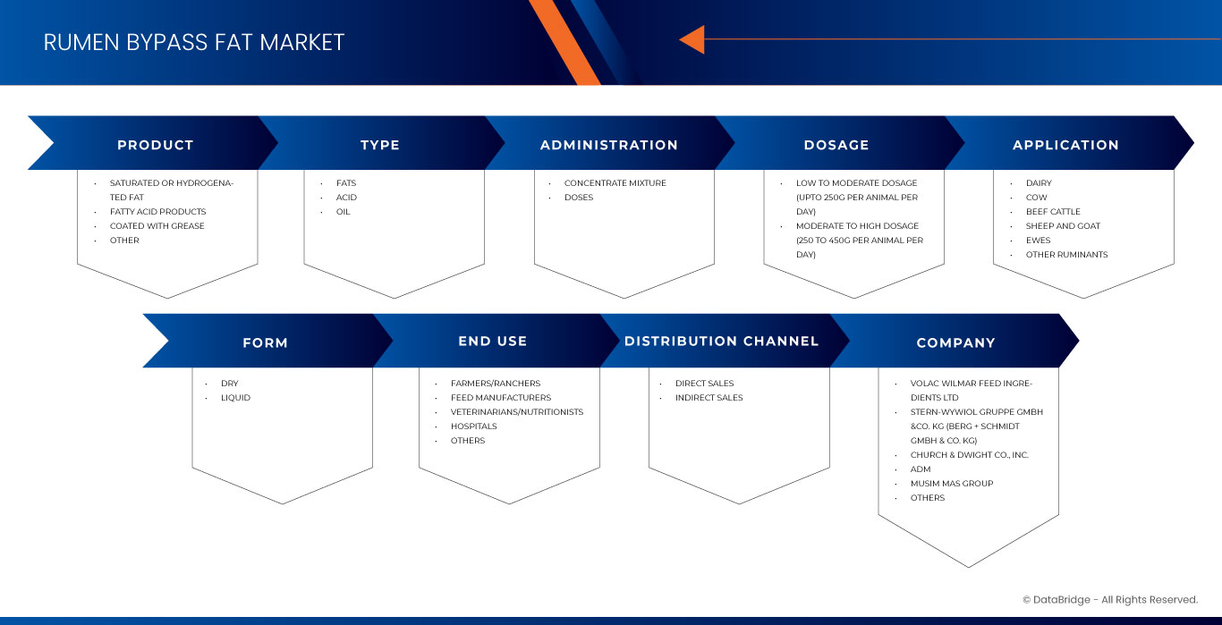 歐洲過瘤胃脂肪市場